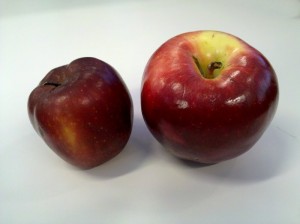 My apple (on the right) vs. Panera apple