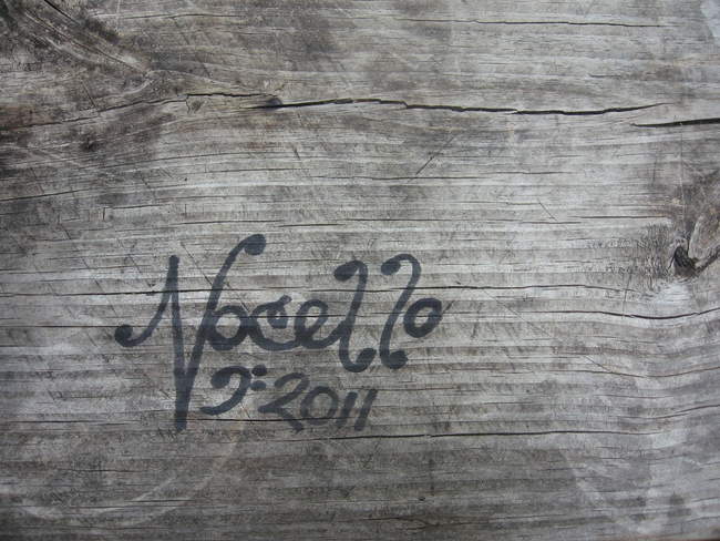 Nocello on the picnic table