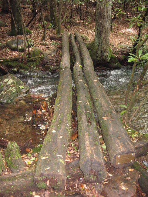 A unique stream crossing