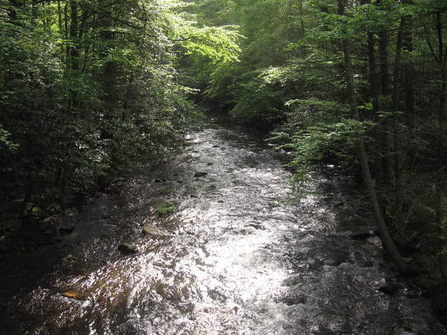 A large stream 