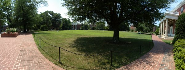 The campus of Mary Washington