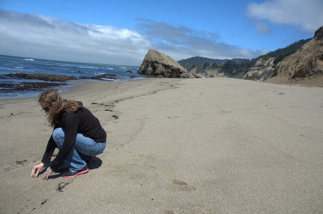 Kristin writes in the sand at Greyhound Rock