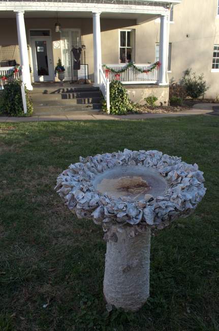 A bird feeder made out of seashells
